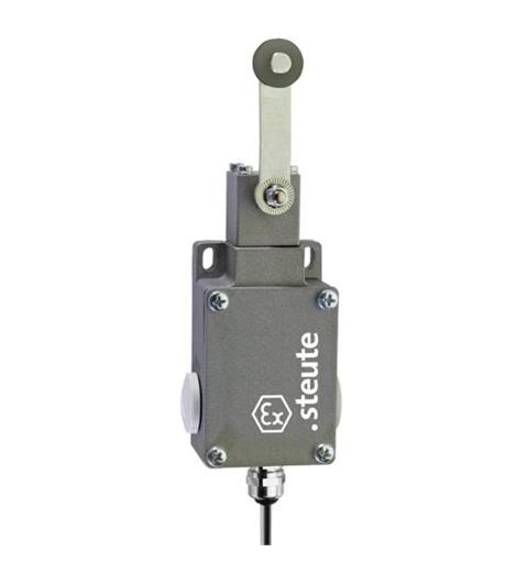 Ex Position switch Ex 61 DL 3m IP65 (1NC/1NO) II 2G Ex de IIC T6